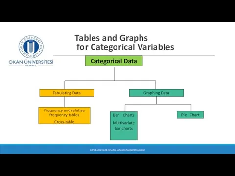 Tables and Graphs for Categorical Variables DR SUSANNE HANSEN SARAL,