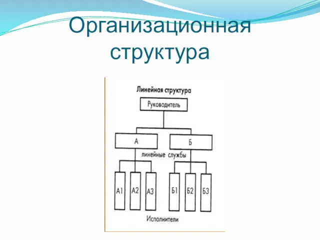 Организационная структура