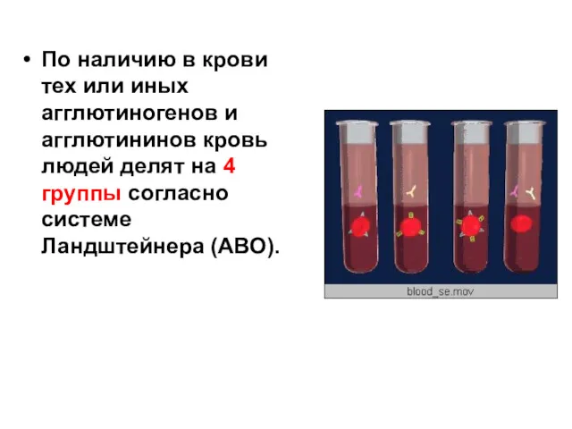 По наличию в крови тех или иных агглютиногенов и агглютининов