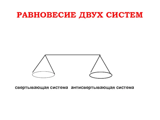 РАВНОВЕСИЕ ДВУХ СИСТЕМ свертывающая система антисвертывающая система