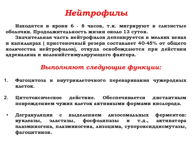 Нейтрофилы Находятся в крови 6 - 8 часов, т.к. мигрируют