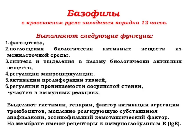 Базофилы в кровеносном русле находятся порядка 12 часов. Выполняют следующие