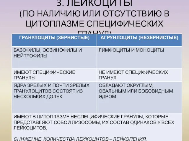 3. ЛЕЙКОЦИТЫ (ПО НАЛИЧИЮ ИЛИ ОТСУТСТВИЮ В ЦИТОПЛАЗМЕ СПЕЦИФИЧЕСКИХ ГРАНУЛ)