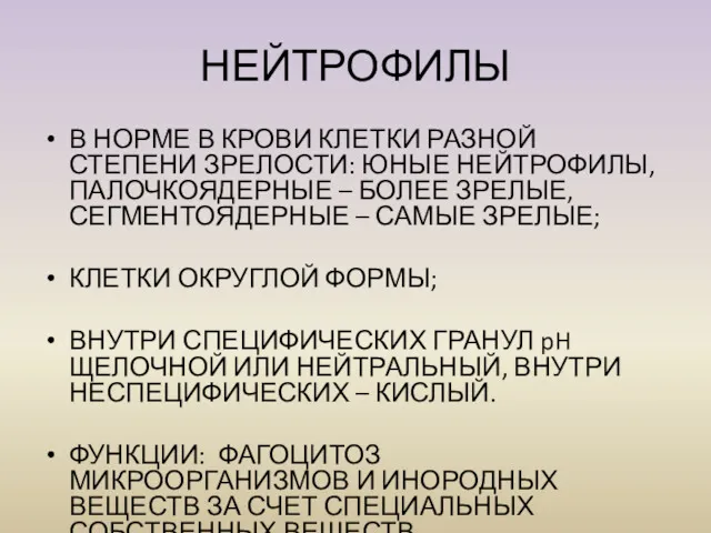 НЕЙТРОФИЛЫ В НОРМЕ В КРОВИ КЛЕТКИ РАЗНОЙ СТЕПЕНИ ЗРЕЛОСТИ: ЮНЫЕ НЕЙТРОФИЛЫ, ПАЛОЧКОЯДЕРНЫЕ –