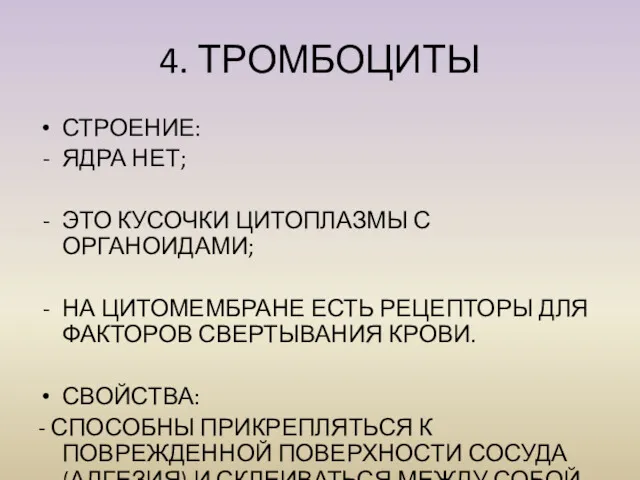 СТРОЕНИЕ: ЯДРА НЕТ; ЭТО КУСОЧКИ ЦИТОПЛАЗМЫ С ОРГАНОИДАМИ; НА ЦИТОМЕМБРАНЕ ЕСТЬ РЕЦЕПТОРЫ ДЛЯ