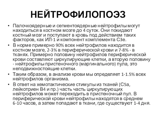 НЕЙТРОФИЛОПОЭЗ Палочкоядерные и сегментоядерные нейтрофилы могут находиться в костном мозге