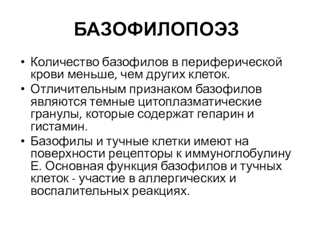 БАЗОФИЛОПОЭЗ Количество базофилов в периферической крови меньше, чем других клеток.