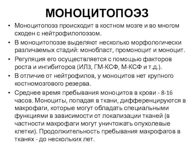 МОНОЦИТОПОЭЗ Моноцитопоэз происходит в костном мозге и во многом сходен