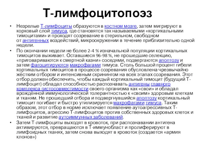 Т-лимфоцитопоэз Незрелые Т-лимфоциты образуются в костном мозге, затем мигрируют в