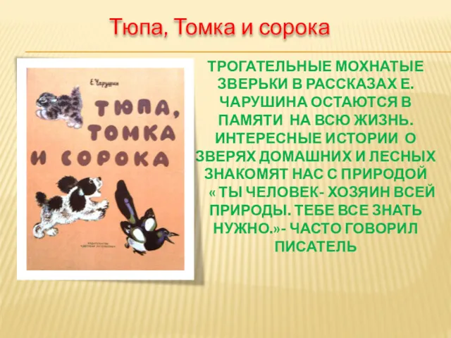 ТРОГАТЕЛЬНЫЕ МОХНАТЫЕ ЗВЕРЬКИ В РАССКАЗАХ Е.ЧАРУШИНА ОСТАЮТСЯ В ПАМЯТИ НА