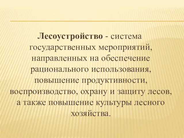 Лесоустройство - система государственных мероприятий, направленных на обеспечение рационального использования,