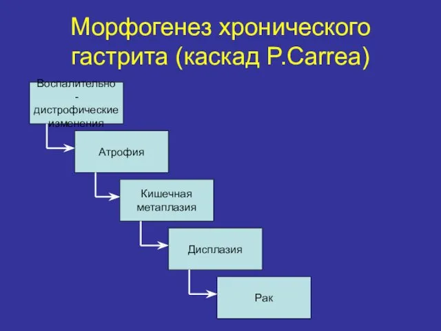 Морфогенез хронического гастрита (каскад P.Carrea) Воспалительно -дистрофические изменения Атрофия Кишечная метаплазия Дисплазия Рак