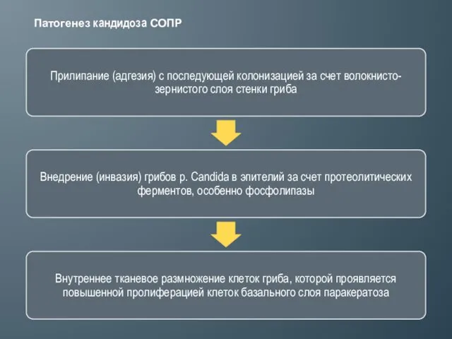 Патогенез кандидоза СОПР