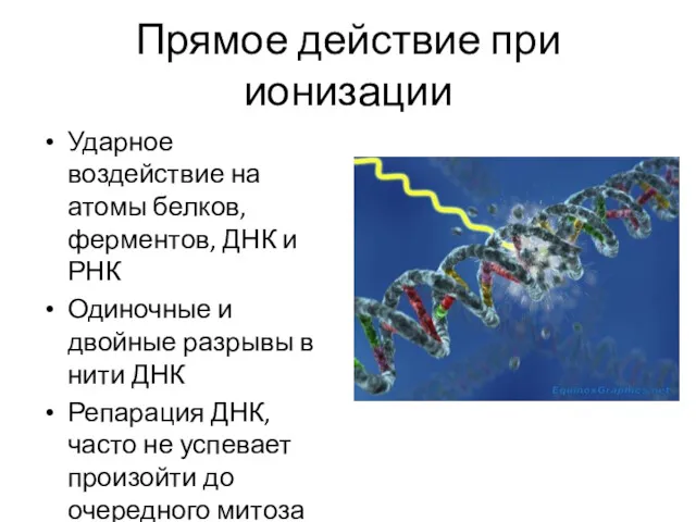 Прямое действие при ионизации Ударное воздействие на атомы белков, ферментов,