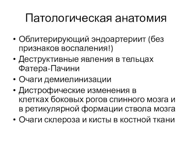 Патологическая анатомия Облитерирующий эндоартериит (без признаков воспаления!) Деструктивные явления в