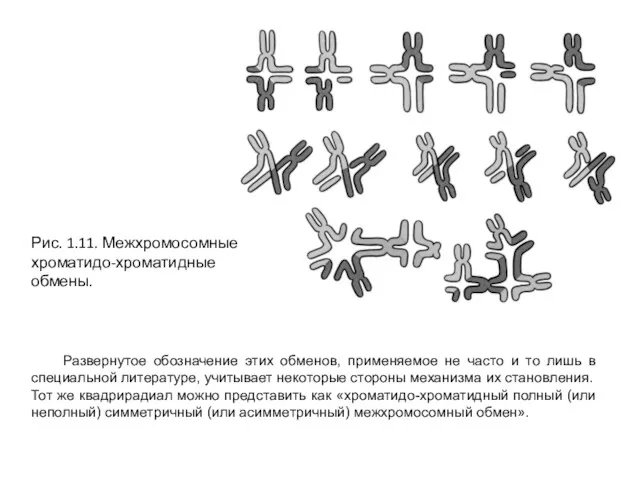 Рис. 1.11. Межхромосомные хроматидо-хроматидные обмены. Развернутое обозначение этих обменов, применяемое