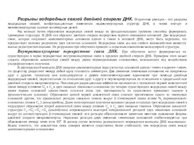 Разрывы водородных связей двойной спирали ДНК. Вторичные реакции − это