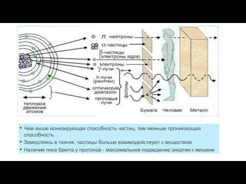 Чем выше ионизирующая способность частиц, тем меньше проникающая способность. Замедляясь