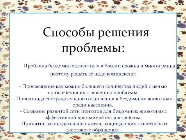 Способы решения проблемы: Проблема бездомных животных в России сложна и