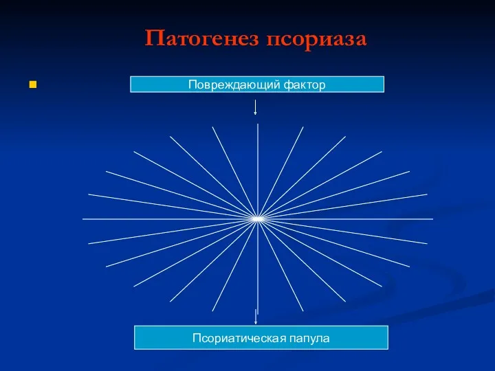 Патогенез псориаза Повреждающий фактор Пролиферация эпидермиса Увеличение числа митозов Дилатация