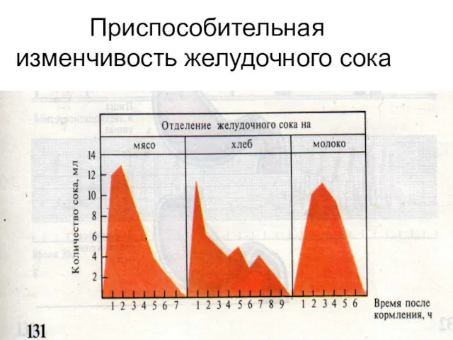 Приспособительная изменчивость желудочного сока