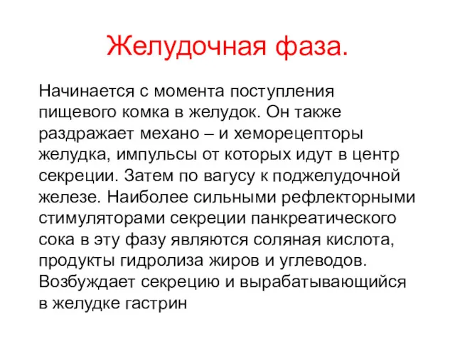 Желудочная фаза. Начинается с момента поступления пищевого комка в желудок.