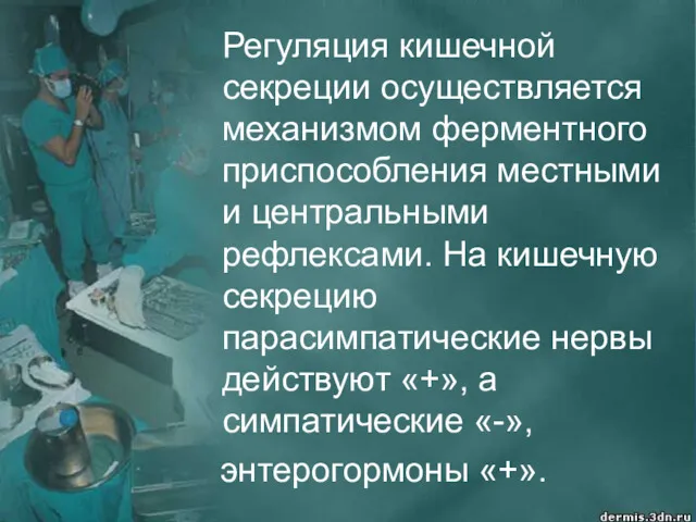 Регуляция кишечной секреции осуществляется механизмом ферментного приспособления местными и центральными