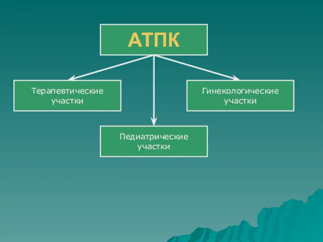 АТПК Терапевтические участки Гинекологические участки Педиатрические участки