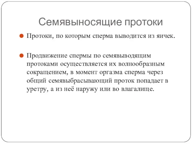 Семявыносящие протоки Протоки, по которым сперма выводится из яичек. Продвижение