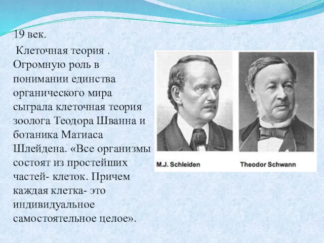 19 век. Клеточная теория . Огромную роль в понимании единства