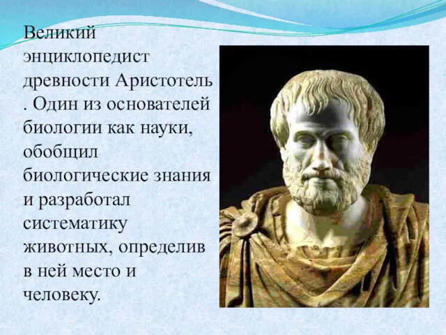 Великий энциклопедист древности Аристотель . Один из основателей биологии как
