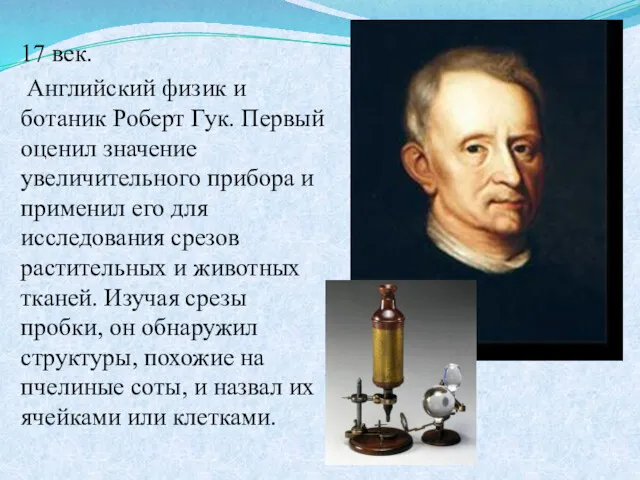 17 век. Английский физик и ботаник Роберт Гук. Первый оценил
