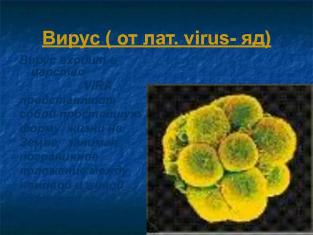 Вирус ( от лат. virus- яд) Вирус входит в царство