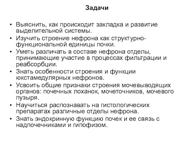 Задачи Выяснить, как происходит закладка и развитие выделительной системы. Изучить строение нефрона как