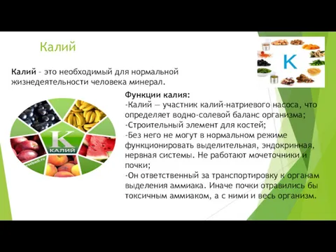 Калий Калий – это необходимый для нормальной жизнедеятельности человека минерал.