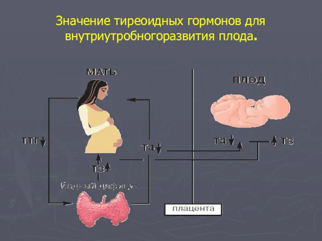 Значение тиреоидных гормонов для внутриутробногоразвития плода.