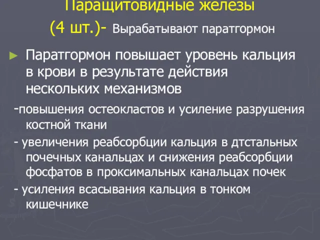 Паращитовидные железы (4 шт.)- Вырабатывают паратгормон Паратгормон повышает уровень кальция