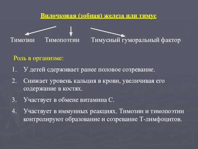 Вилочковая (зобная) железа или тимус Тимозин Тимопоэтин Тимусный гуморальный фактор