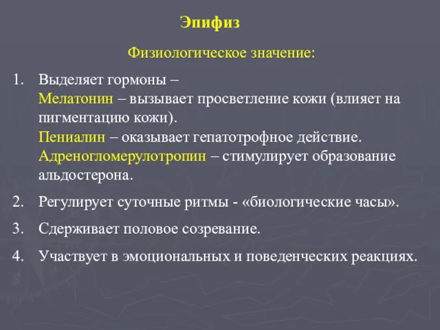 Эпифиз Физиологическое значение: Выделяет гормоны – Мелатонин – вызывает просветление