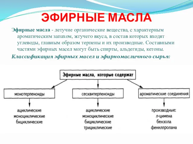 ЭФИРНЫЕ МАСЛА Эфирные масла - летучие органические вещества, с характерным