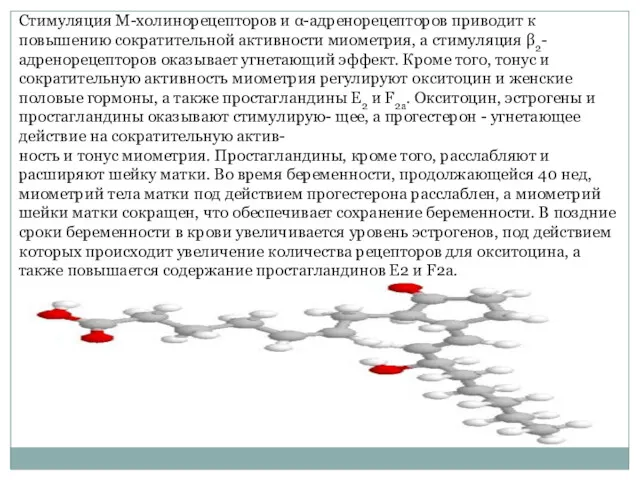 Стимуляция М-холинорецепторов и α-адренорецепторов приводит к повышению сократительной активности миометрия,