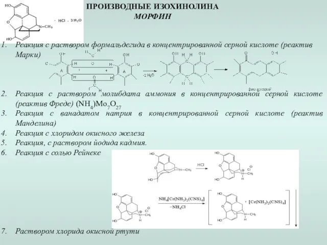 ПРОИЗВОДНЫЕ ИЗОХИНОЛИНА МОРФИН Реакция с раствором формальдегида в концентрированной серной