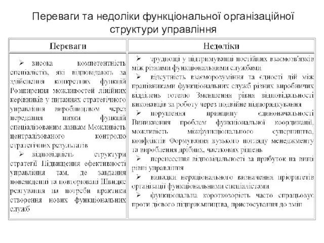 Переваги та недоліки функціональної організаційної структури управління