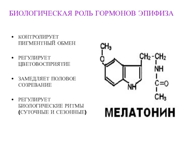 БИОЛОГИЧЕСКАЯ РОЛЬ ГОРМОНОВ ЭПИФИЗА КОНТРОЛИРУЕТ ПИГМЕНТНЫЙ ОБМЕН РЕГУЛИРУЕТ ЦВЕТОВОСПРИЯТИЕ ЗАМЕДЛЯЕТ