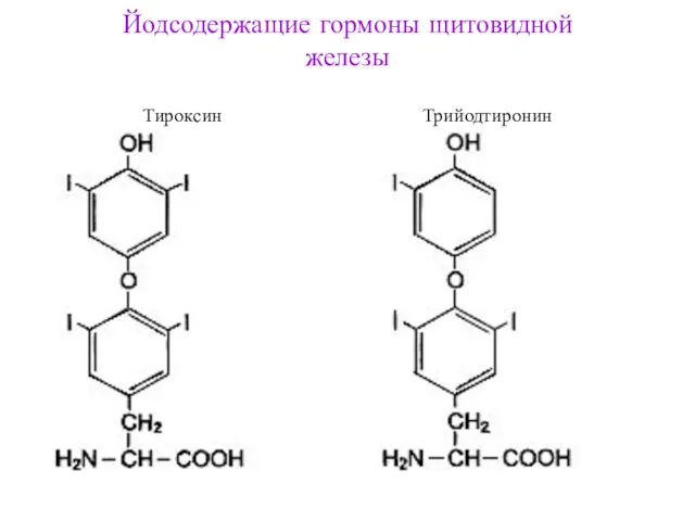 Йодсодержащие гормоны щитовидной железы Тироксин Трийодтиронин