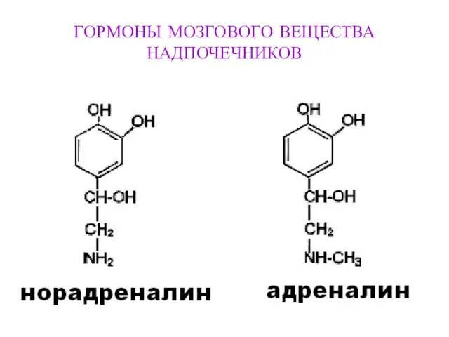 ГОРМОНЫ МОЗГОВОГО ВЕЩЕСТВА НАДПОЧЕЧНИКОВ