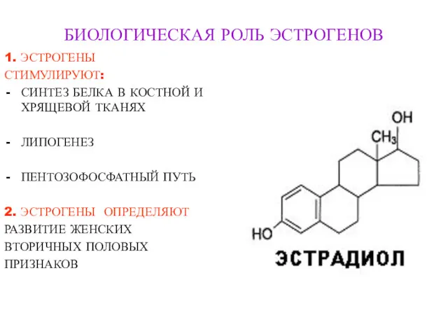 БИОЛОГИЧЕСКАЯ РОЛЬ ЭСТРОГЕНОВ 1. ЭСТРОГЕНЫ СТИМУЛИРУЮТ: СИНТЕЗ БЕЛКА В КОСТНОЙ