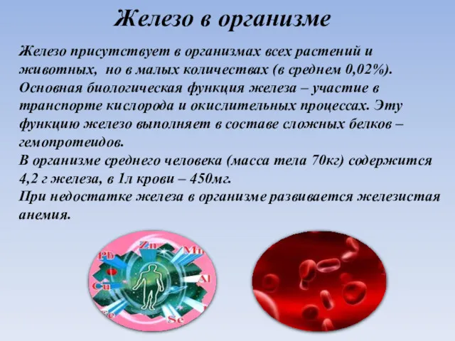 Железо в организме Железо присутствует в организмах всех растений и