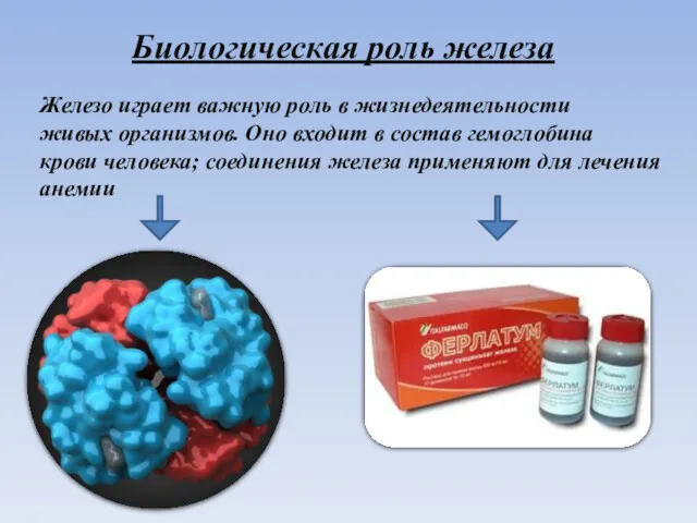 Биологическая роль железа Железо играет важную роль в жизнедеятельности живых