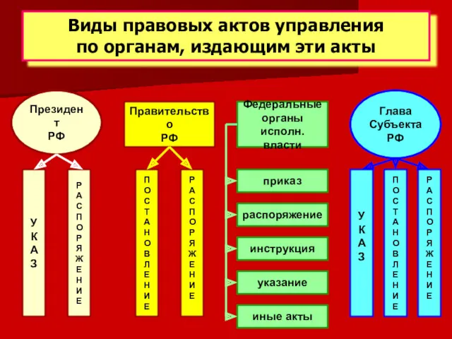 Виды правовых актов управления по органам, издающим эти акты Правительство